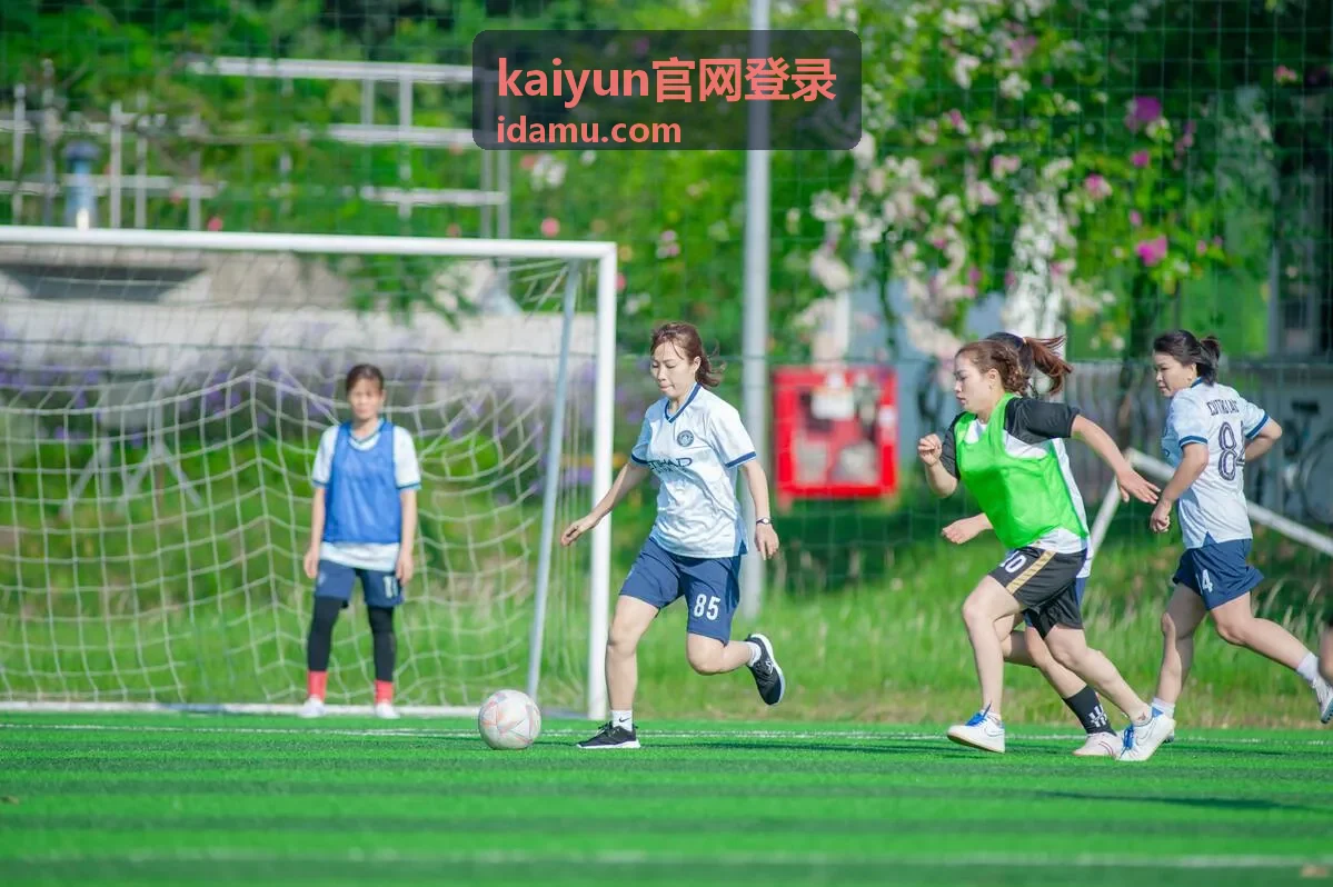 kaiyun官网登录账号安全设置示意