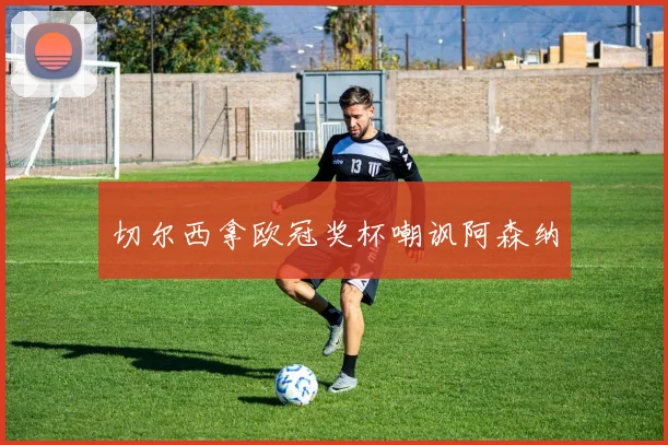 切尔西拿欧冠奖杯嘲讽阿森纳