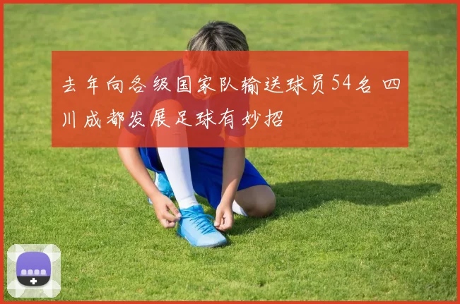 去年向各级国家队输送球员54名 四川成都发展足球有妙招