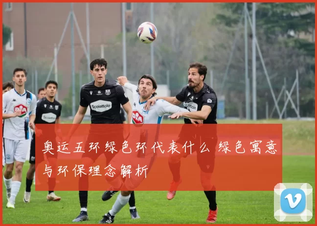 奥运五环绿色环代表什么 绿色寓意与环保理念解析