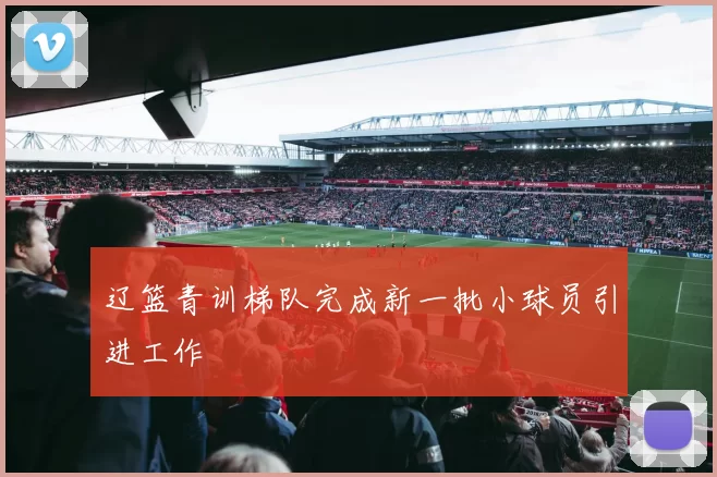 辽篮青训梯队完成新一批小球员引进工作