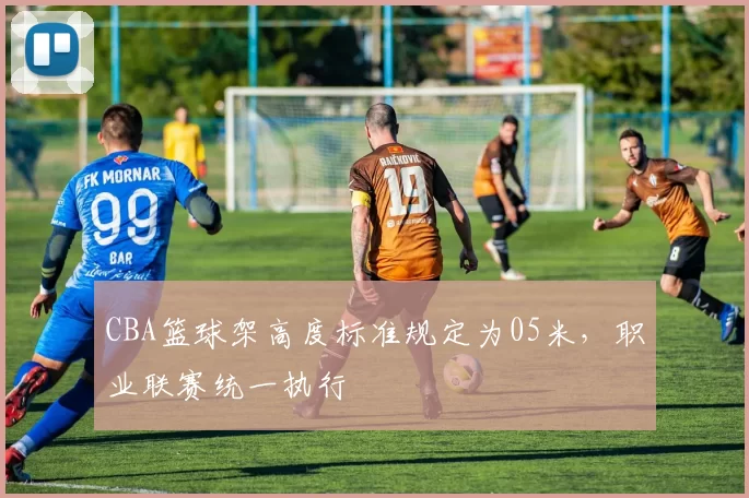 CBA篮球架高度标准规定为05米，职业联赛统一执行