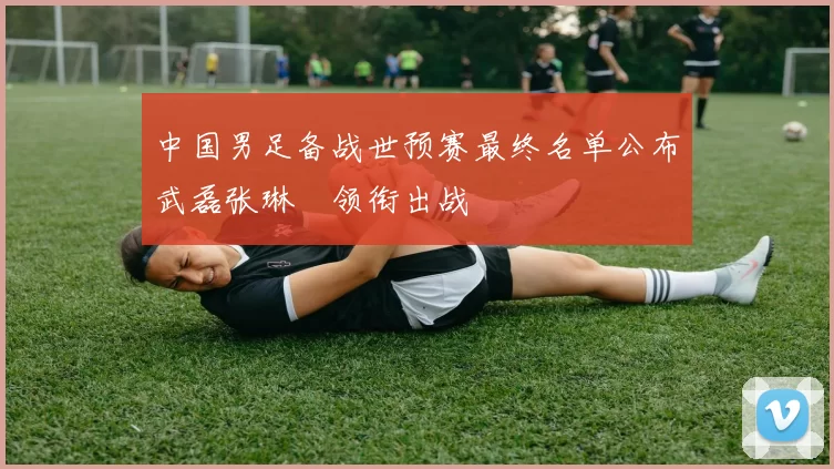 中国男足备战世预赛最终名单公布武磊张琳芃领衔出战