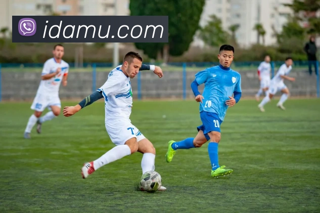 华体网官网主页服务体系