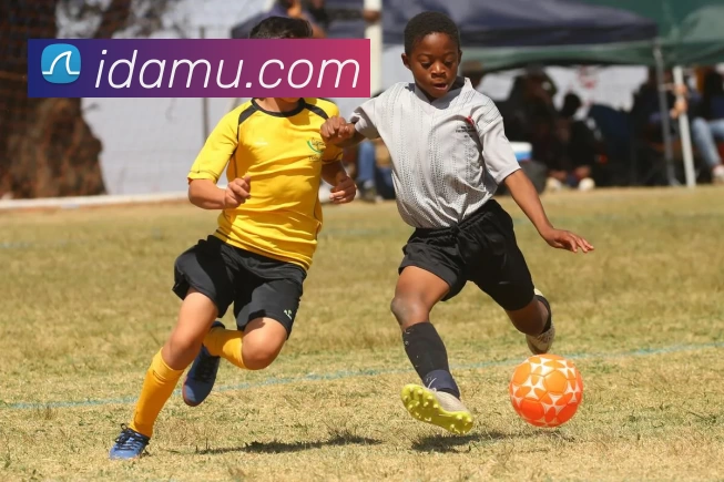 星空体育官网全站App